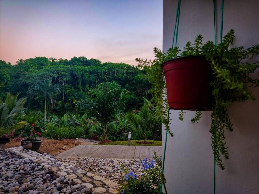 The Willow Apartment โอโชรีโอส ภายนอก รูปภาพ