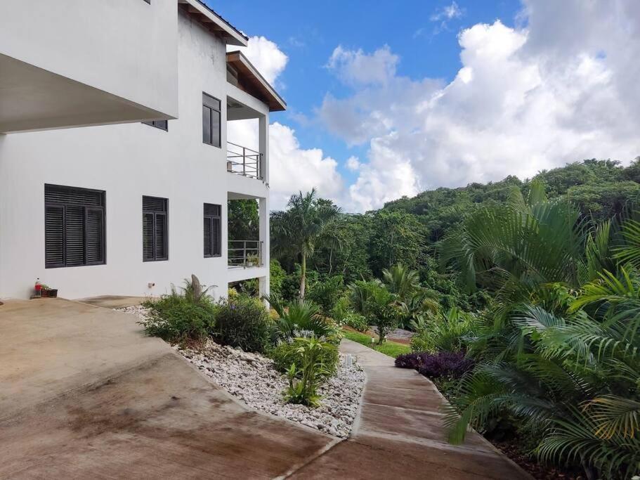 The Willow Apartment โอโชรีโอส ภายนอก รูปภาพ