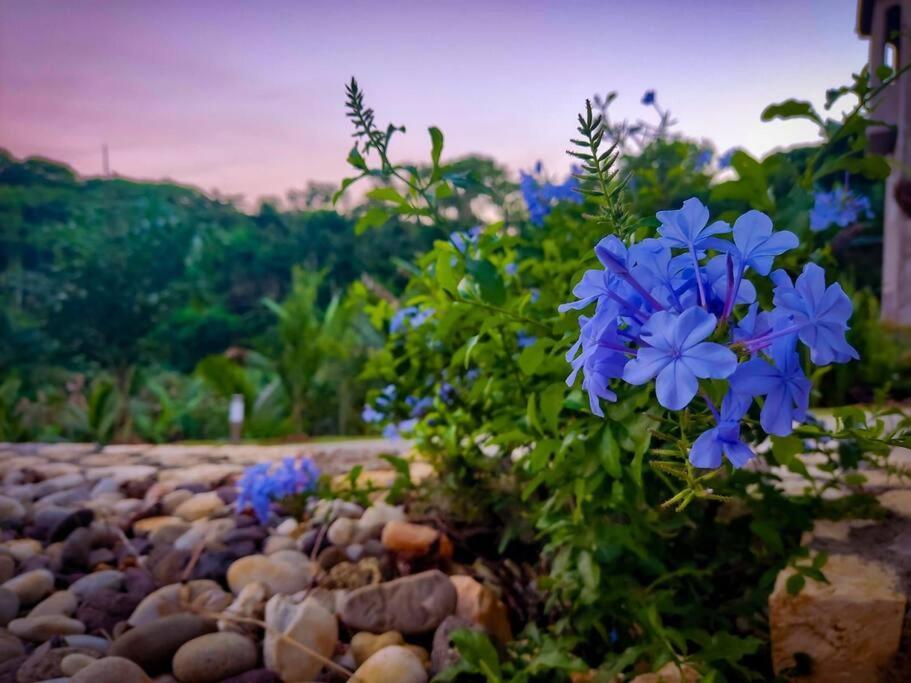 The Willow Apartment โอโชรีโอส ภายนอก รูปภาพ